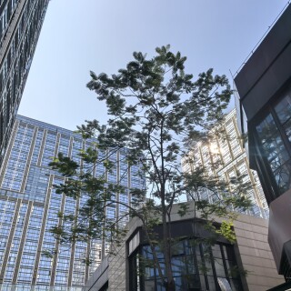 9128cea8bcb3e0947168b15983da3e44