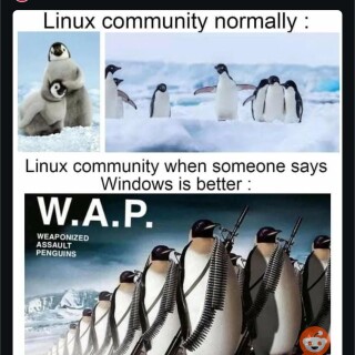 9c0da4dec31eb9ee821ba70f62d66c00