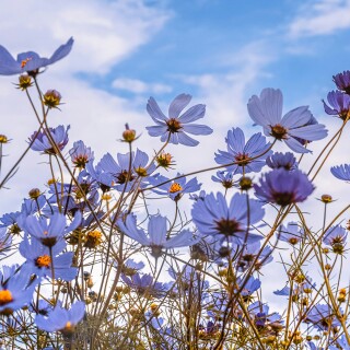 0676bfc5179c4bd484475c2a3d03f1c6