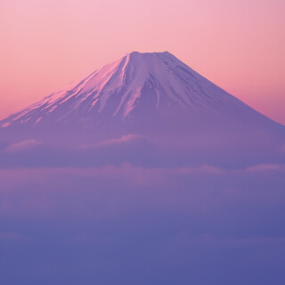 44c818c5e8029bcc9e45f2ac1ebc787e