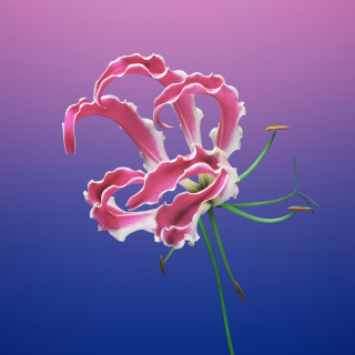 6c1a6e4bfc70a6ffb737849a33c2f4b2