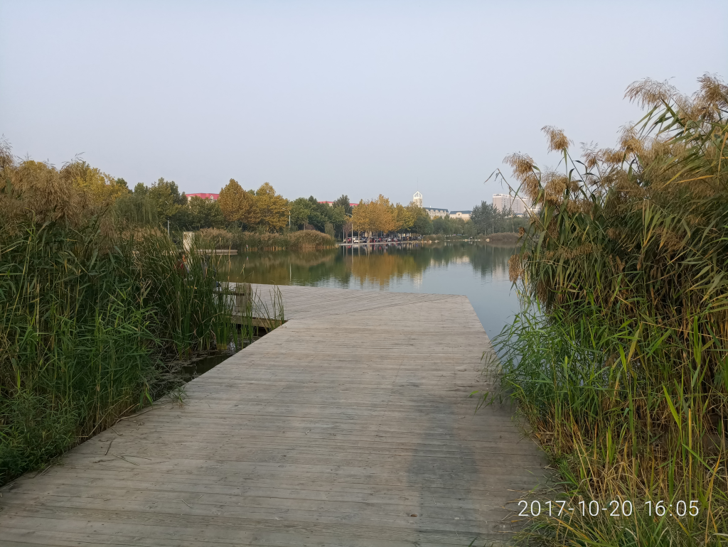 972fce8d3858d4093cf7607b593b0dc1.png